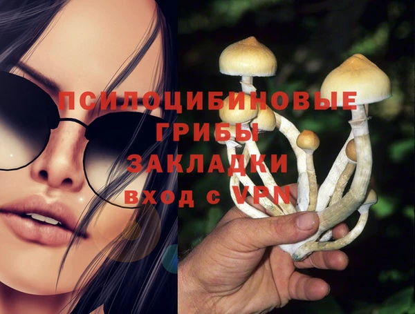 первитин Алексин