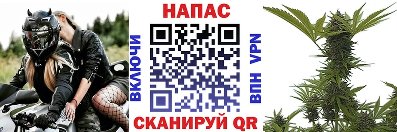 Бошки Шишки MAZAR Ветлуга